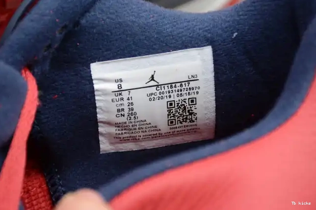 Rep TBK SE Air CI1184-617 FIBA 4 Jordan 0525
